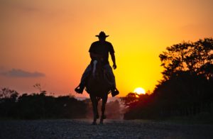 LONE COWBOY 0:45"-