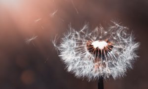 EPHEMERAL 4:10"-