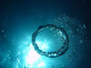 JOURNEY TO THE SEA 1:09"-