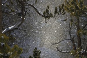 FALLING  4:17"-
