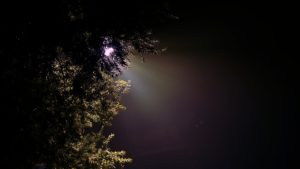 REACH WITH SOLOS 4:18"-