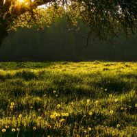 REQUIEM 3:51"-