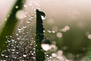 AFTER THE RAIN 2:31"