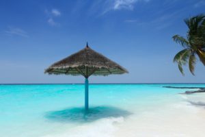 AUDIOLANDER-CALYPSO SUMMER HOLIDAY ISLAND MUSIC(2).jpg