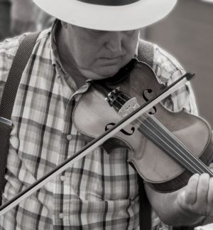 AUDIOLANDER BANJO VERSUS FIDDLE(1).jpg