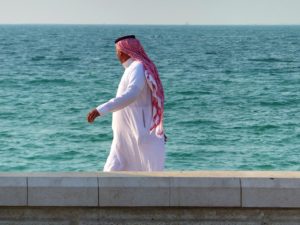 AUDIOLANDER MUSIC FOR VIDEOS ARABIAN SEA.jpg