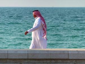 AUDIOLANDER MUSIC FOR VIDEOS ARABIAN SEA(4).jpg