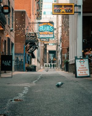COLLEGETOWN BLUES(4).jpeg